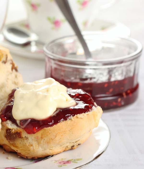 Day Trip to Sidmouth, East Devon SearchGo