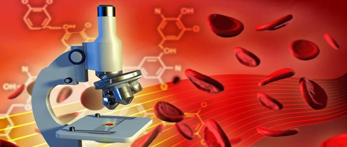 Live blood test and blood analyses