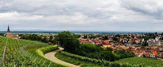 Alsace wine region