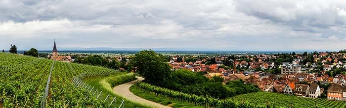 Alsace wine region