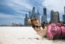 Holiday to Dubai